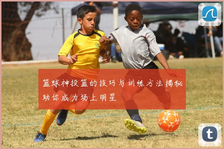 篮球神投篮的技巧与训练方法揭秘助你成为场上明星