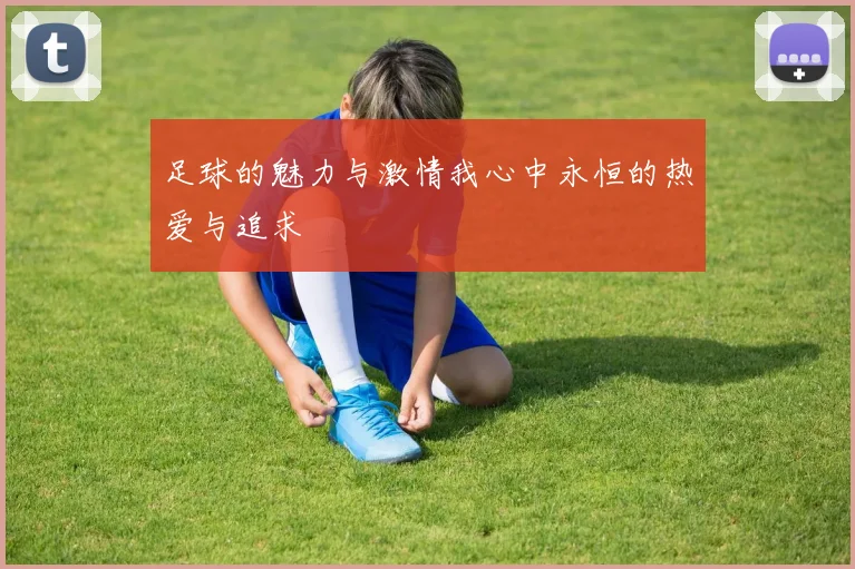 足球的魅力与激情我心中永恒的热爱与追求
